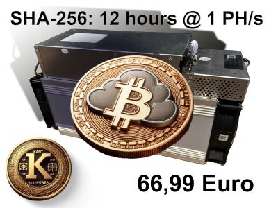 Bitcoin Cloud Mining 1 PH/s 12 hours