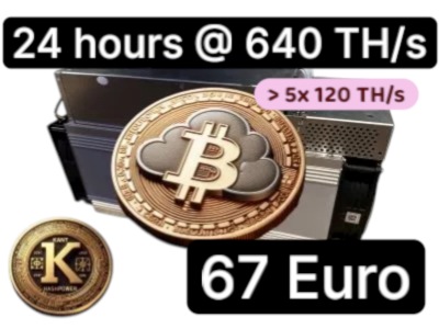 remote-mining 24 h 640 TH/s